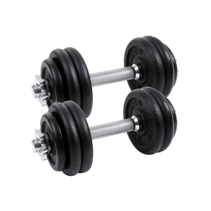 Conjunto de 2 halteres de ferro fundido SONGMICS, 2 anilhas de 15 kg, ajustável para treino masculino e feminino, empunhadura de aço, treinamento físico, levantamento de peso, academia em casa, preto SYL30T