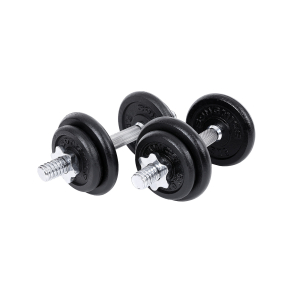 Conjunto de 2 halteres de ferro fundido SONGMICS, 2 anilhas de 20 kg, ajustável para treino masculino e feminino, empunhadura de aço, treinamento físico, levantamento de peso, academia em casa, preto SYL40T