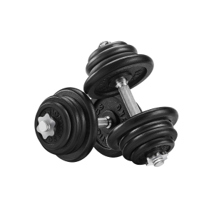 Conjunto de 2 halteres de ferro fundido SONGMICS, 2 anilhas de 25 kg, ajustável para treino masculino e feminino, empunhadura de aço, treinamento físico, levantamento de peso, academia em casa, preto SYL50BS