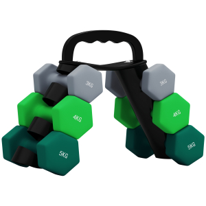 SPORTNOW Conjunto de Halteres 2 x 3kg 2 x 4kg e 2 x 5kg Halteres Hexagonais com Suporte de Armazenamento para Treino Multicor