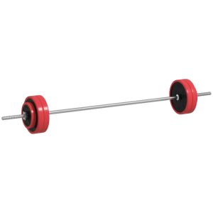 SPORTNOW Conjunto de Barra de Pesos 30 kg com Discos Conjunto de Musculação com 6 Discos e 1 Barra para Treino de Força Levantamento de Pesos 170x26x26 cm Vermelho