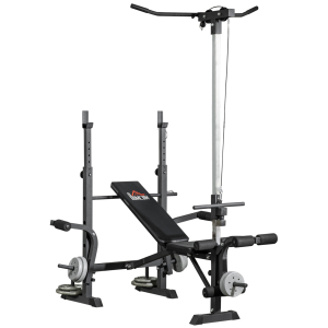 HOMCOM Banco de Pesos Multi Funcional Banco de Musculação Ajustável em 6 Posições 180x134x200cm Prata e Preto