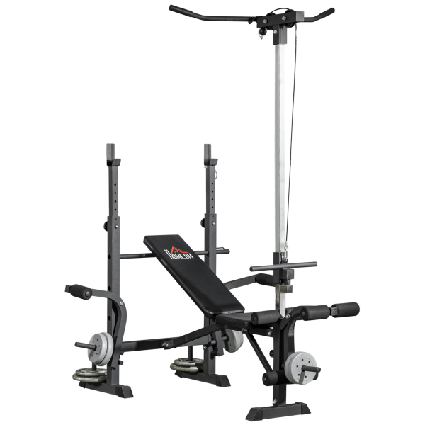 HOMCOM Banco de Pesos Multi Funcional Banco de Musculação Ajustável em 6 Posições 180x134x200cm Prata e Preto