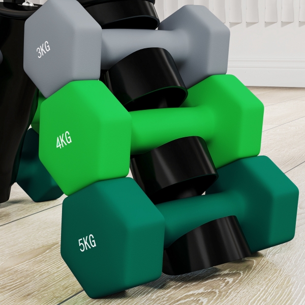 SPORTNOW Conjunto de Halteres 2 x 3kg 2 x 4kg e 2 x 5kg Halteres Hexagonais com Suporte de Armazenamento para Treino Multicor - Image 9