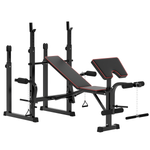 SPORTNOW Banco de Musculação Dobrável Banco Multifunções com Suportes para Barras e Encosto Ajustável para Treino Completo de Corpo Preto