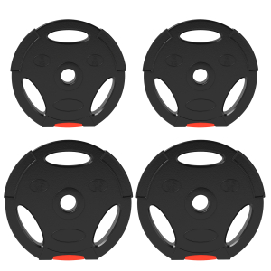 SPORTNOW Conjunto de Discos de Pesos de 4 Peças 2x7,5 kg e 2x5 kg com Orifícios de 2,5 cm para Treino Fitness Preto