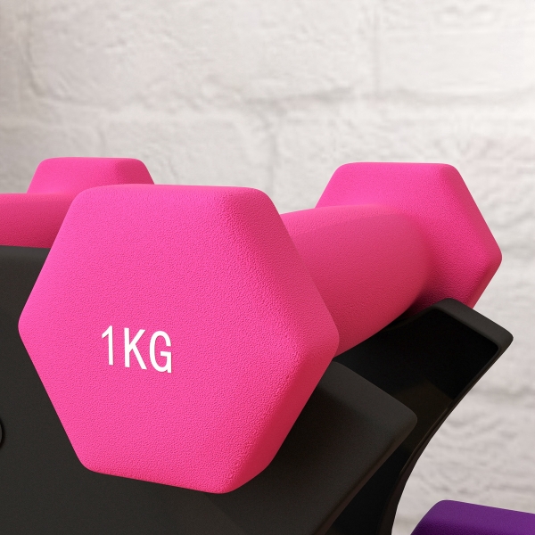 SPORTNOW Conjunto de Halteres Hexagonais 2x1 kg 2x2 kg 2x3 kg com Suporte de Armazenamento para Treino em Casa Multicolor - Image 9