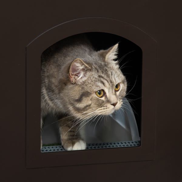 PawHut Casa para Gatos de Madeira Móvel para Caixa de Areia para Gatos 2 em 1 com Armário de Armazenamento Bancada Ampla Porta e 3 Janelas Cruzadas 48,7x53,3x53 cm Marrom - Image 7