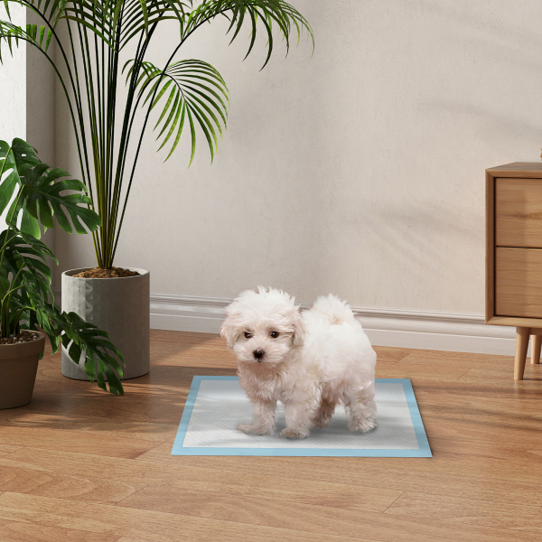 PawHut Resguardos de Treino Animais de Estimação 100 Unidades 45x30 cm Resguardos Absorventes para Cães com 6 Camadas Azul - Image 2
