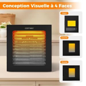 Desidratador de Alimentos em Aço Inoxidável com 10 Bandejas, 10 Programas Pré-definidos, Temporizador de 48 Horas e Temperatura de 30-75°C, Preto