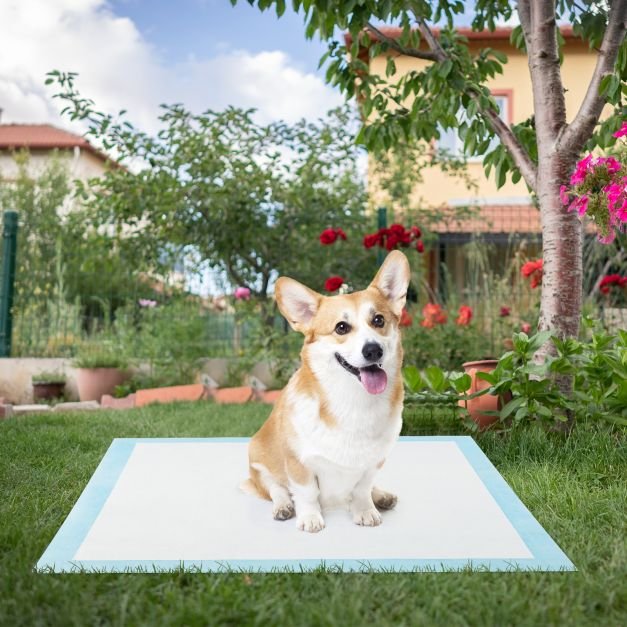 Tapetes de treinamento para cães, design de 6 camadas à prova de vazamentos, tapetes para filhotes (76 x 76 cm, 150 peças) - Image 2