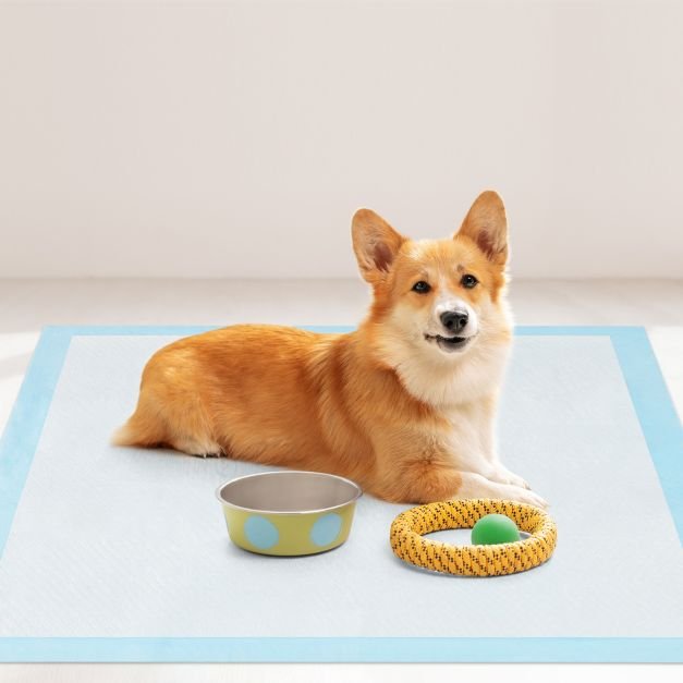 Tapetes de treinamento para cães, design de 6 camadas à prova de vazamentos, tapetes para filhotes (76 x 76 cm, 150 peças) - Image 3