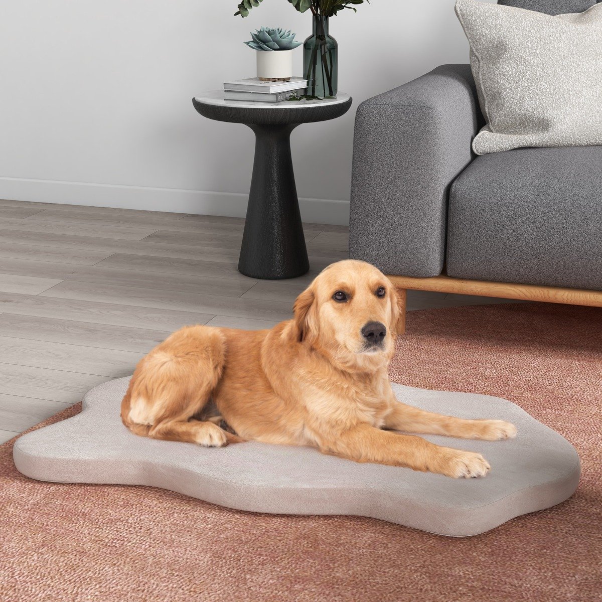 Cama ortopédica para cães de grande porte com suporte de espuma viscoelástica - Bege - Image 2
