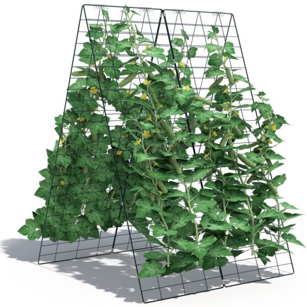 Treliça para pepinos com amarras para plantas trepadeiras.