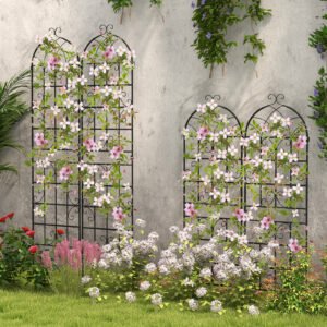 Conjunto de treliças de metal com 2 cercas decorativas para jardim, treliça independente para jardim, preta, 220 x 50 cm