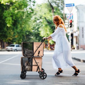 Carrinho de bebê duplo para animais de estimação com transportadora removível para gatos Travel-Navy
