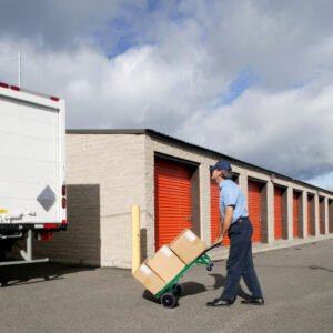 Conjunto de 2 caixas de armazenamento de ferramentas portáteis com rodinhas e alça de puxar