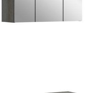 Xonox combinação de banho - prateado fumo acabamento e brilhante branco moldado, 60x191x34 cm
